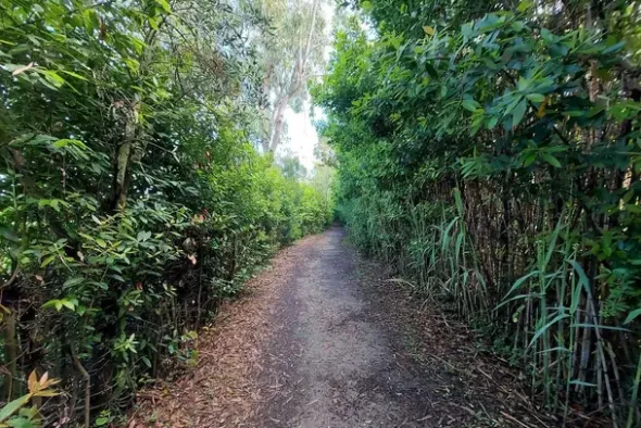#21170 Area residenziale e turistico-ricettiva da bonificare