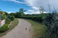 #21170 Area residenziale e turistico-ricettiva da bonificare
