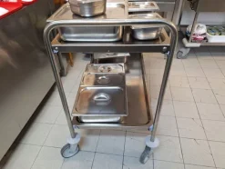 19#8242 Armadio congelatore e carrello inox 2 ripiani