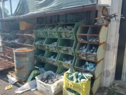2#8561 Attrezzature e macchine per l'industria calzaturiera