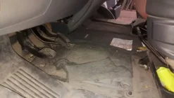 65#6304 Autocarro Fiat Ducato