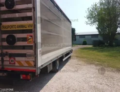 1#9347 Autocarro Iveco 75/E4