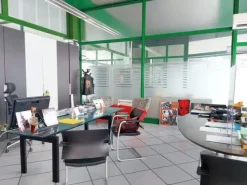 #21379 Autosalone con officine e appartamenti