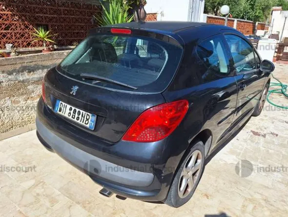 2#10205 Autovettura Peugeot 206