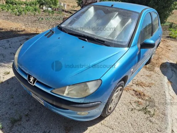 1#10205 Autovettura Peugeot 206 HDI