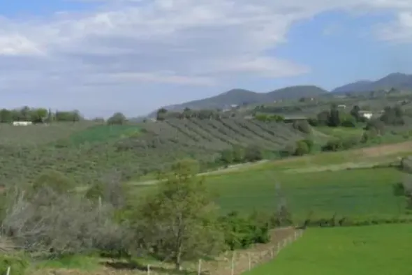#18960 Azienda agricola con terreni