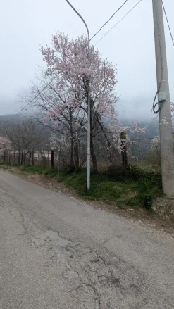 Badia Morronese - Le Valliere, nel Comune di Sulmona