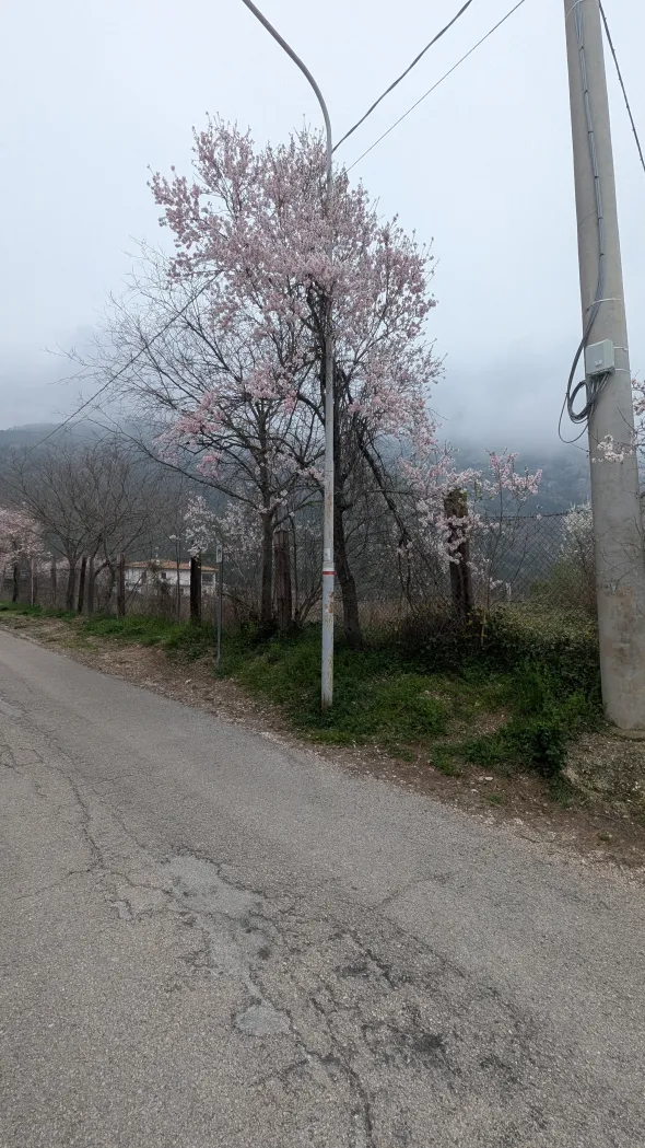 Badia Morronese - Le Valliere, nel Comune di Sulmona