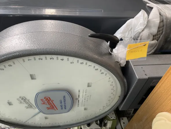 Bilancia