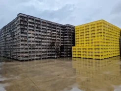 8#69015 Bins in legno e plastica