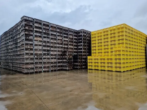 8#69015 Bins in legno e plastica