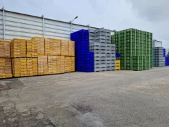 8#69015 Bins in legno e plastica