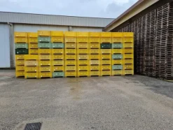 8#69015 Bins in legno e plastica