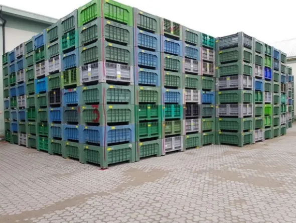 103#5715 Bins per frutta e verdura