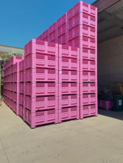 9#8586 Bins per ortofrutta
