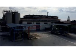 #12618 Cantina vinicola