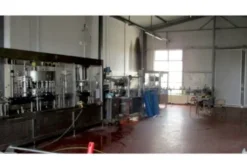 #12618 Cantina vinicola
