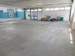 #14726 Capannone artigianale con area di pertinenza