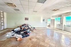 #2537284 Capannone artigianale con uffici e soppalco