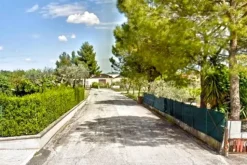 #2515104 Capannone artigianale e area urbana privata