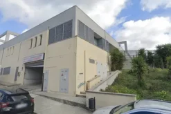 #2518009 Capannone commerciale