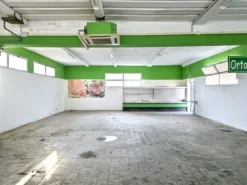 #2515037 Capannone commerciale con appezzamenti di terreno