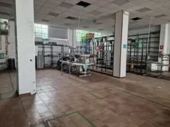 #2536393 Capannone commerciale per molteplici servizi