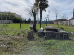 #23285 Capannone con area di pertinenza edificabile