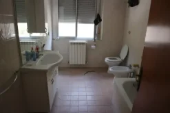 #2292 Capannone con uffici ed alloggio custode