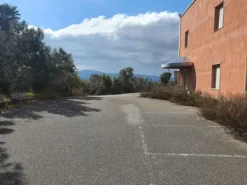 #25699 Capannone di due piani con corte