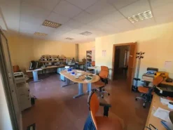 #25699 Capannone di due piani con corte
