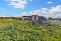 #19502 Capannone industriale con uffici e area di pertinenza