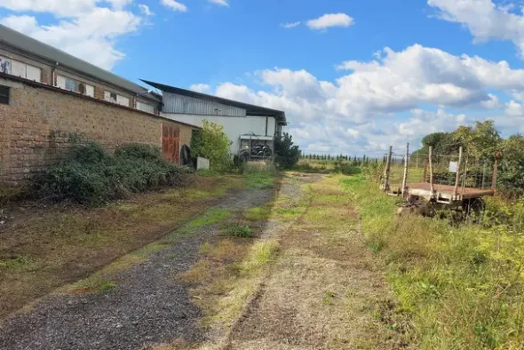 #19502 Capannone industriale con uffici e area di pertinenza