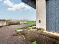 #24975 Capannone industriale e terreno edificabile