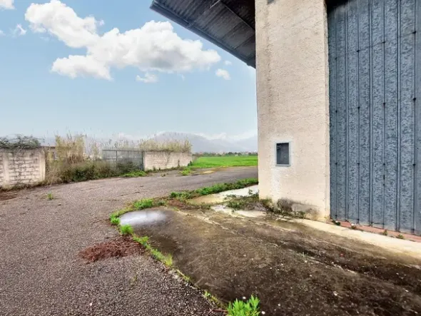 #24975 Capannone industriale e terreno edificabile