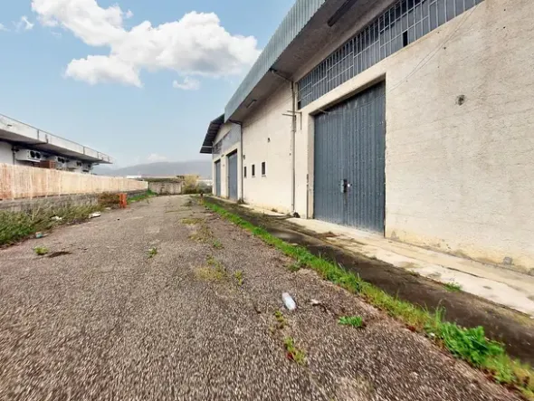 #24975 Capannone industriale e terreno edificabile