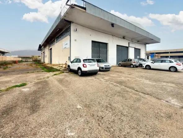#24975 Capannone industriale e terreno edificabile
