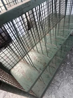 Carrelli per suolificio usati
