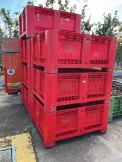 CASSE AGRIBOX VERARDI ROSSE