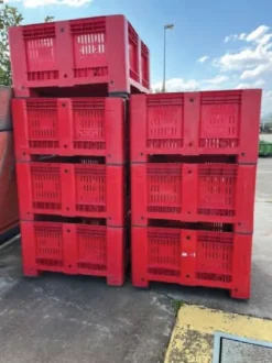 CASSE AGRIBOX VERARDI ROSSE