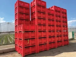 CASSE AGRIBOX VERARDI ROSSE