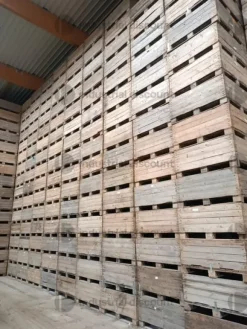 4#9254 Casse di legno