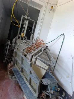 catena linea bovini,suini,zona tripperia,storditore