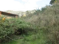 #8926 Cava di calcare e terreni estrattivi