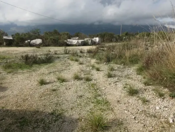 #8926 Cava di calcare e terreni estrattivi