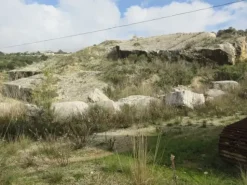 #8926 Cava di calcare e terreni estrattivi