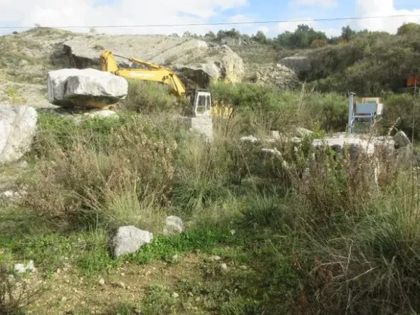 #8926 Cava di calcare e terreni estrattivi