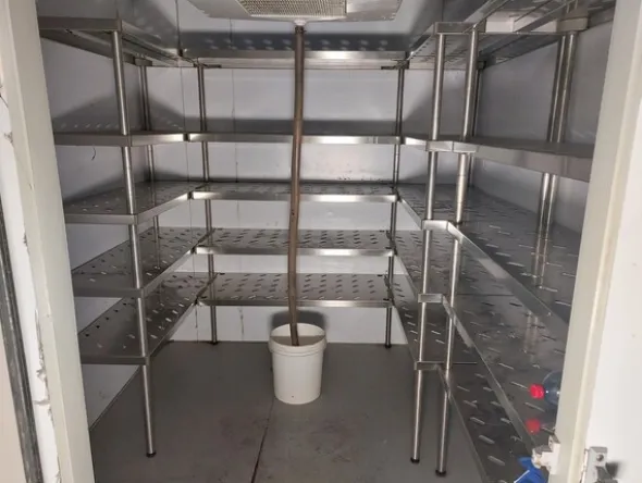 10#8037 Cella frigo Royal Frigo