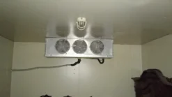 celle frigo in positivo e in negativo