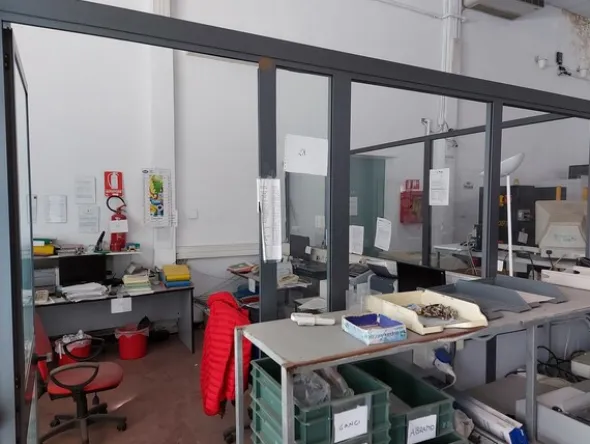 1#6885 Cessione compendio aziendale di società dedita a distribuzione farmaci
